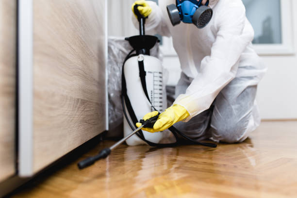 Best Pest Control Near Me  in Lexington, OK