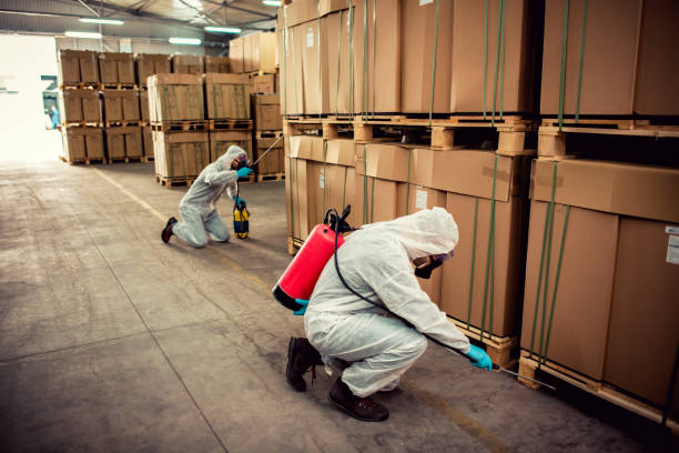 Best Wasp Removal Services  in Lexington, OK
