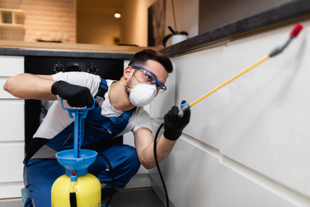 Best Pest Control for Homes  in Lexington, OK