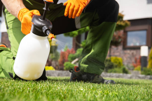 Best Best Pest Control Companies  in Lexington, OK