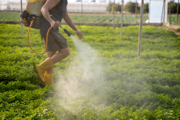 Best Commercial Pest Control Services  in Lexington, OK
