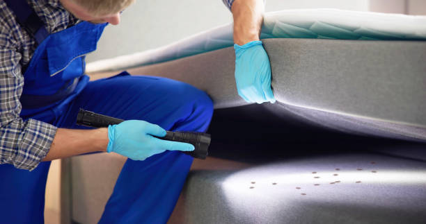 Best Cockroach Control Services  in Lexington, OK