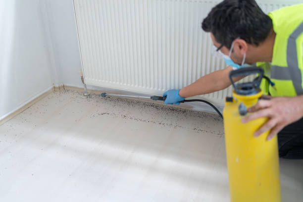 Best Wasp Removal Services  in Lexington, OK