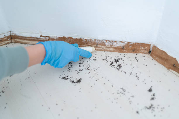 Best Wildlife Control Services  in Lexington, OK