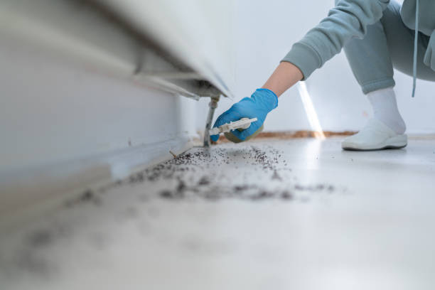 Professional Pest Control in Lexington, OK